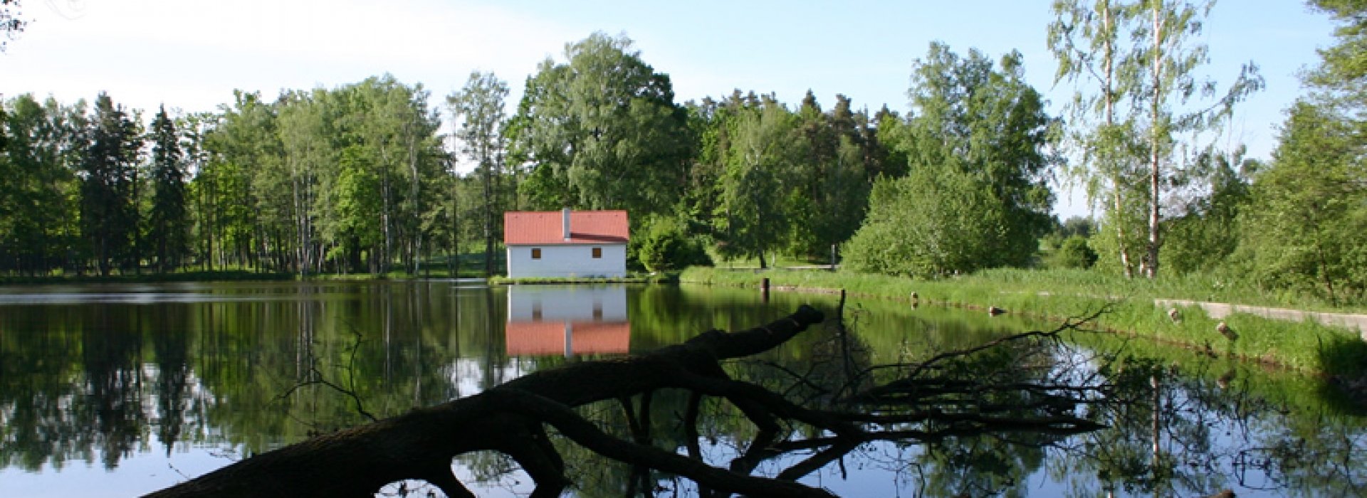 Měnič obrázků - fotografie